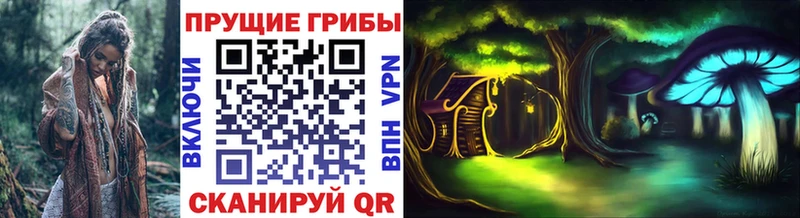 Псилоцибиновые грибы Psilocybine cubensis Мамоново