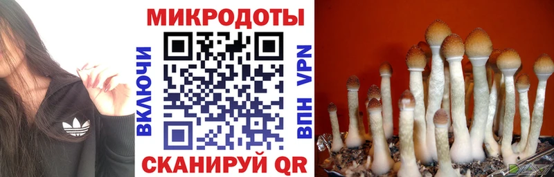 Купить закладки  Мамоново  Галлюциногенные грибы GOLDEN TEACHER 